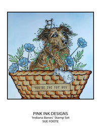 Pink Ink Designs - Clear Photopolymer Stamps - A5 - Indiana Bones