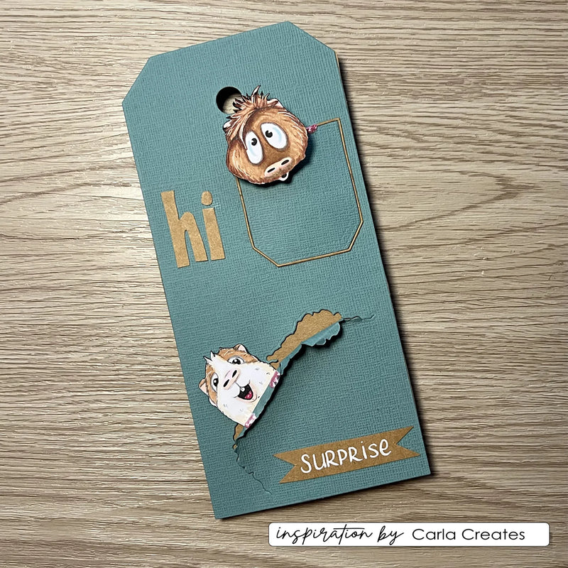 Vaessen Creative - Carla Creates - Clear Stamp Set - Guinea Pigs 2