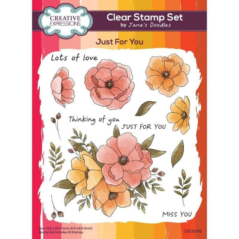 Creative Expressions - 6 x 8 - Clear Stamp Set - Jane's Doodles - Just For You