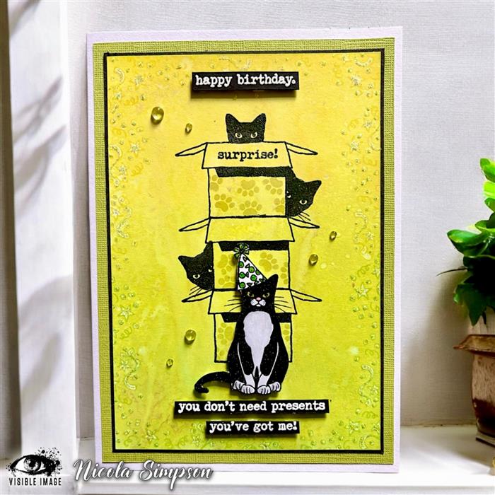 Visible Image - A6 - Clear Polymer Stamp Set - Purr-fect Birthday - LIMITED EDITION