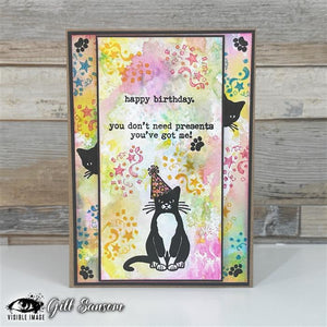 Visible Image - A6 - Clear Polymer Stamp Set - Purr-fect Birthday - LIMITED EDITION