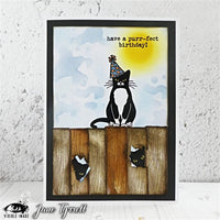 Visible Image - A6 - Clear Polymer Stamp Set - Purr-fect Birthday - LIMITED EDITION