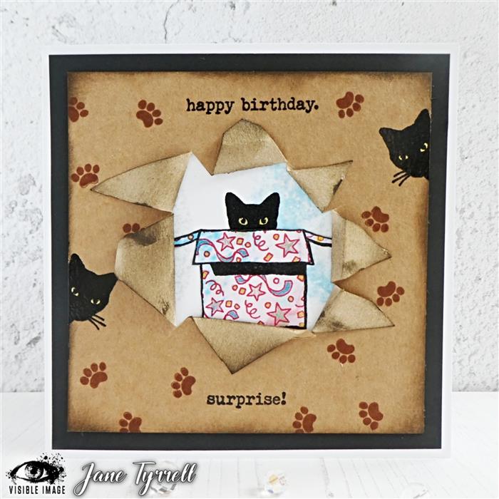 Visible Image - A6 - Clear Polymer Stamp Set - Purr-fect Birthday - LIMITED EDITION