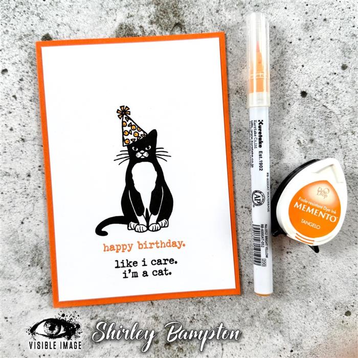 Visible Image - A6 - Clear Polymer Stamp Set - Purr-fect Birthday - LIMITED EDITION