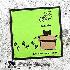 Visible Image - A6 - Clear Polymer Stamp Set - Purr-fect Birthday - LIMITED EDITION