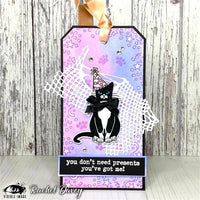 Visible Image - A6 - Clear Polymer Stamp Set - Purr-fect Birthday - LIMITED EDITION