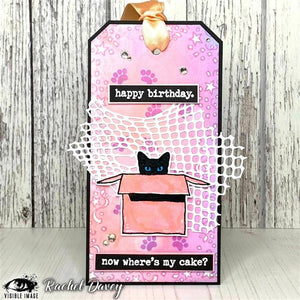 Visible Image - A6 - Clear Polymer Stamp Set - Purr-fect Birthday - LIMITED EDITION