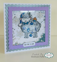 Creative Expressions - Woodware - Clear Stamps - A6 - Woodware - Françoise Read - Ewe Christmas