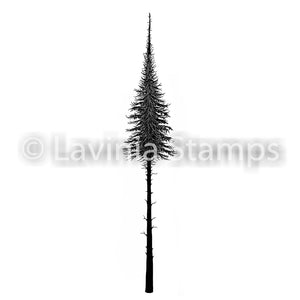 Lavinia - Fairy Fir Tree (small) - Clear Polymer Stamp