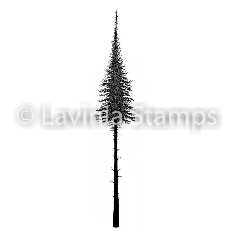 Lavinia - Fairy Fir Tree (small) - Clear Polymer Stamp