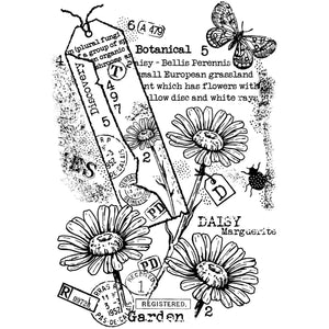 Woodware - Clear Stamps - A6 - Garden Daisies