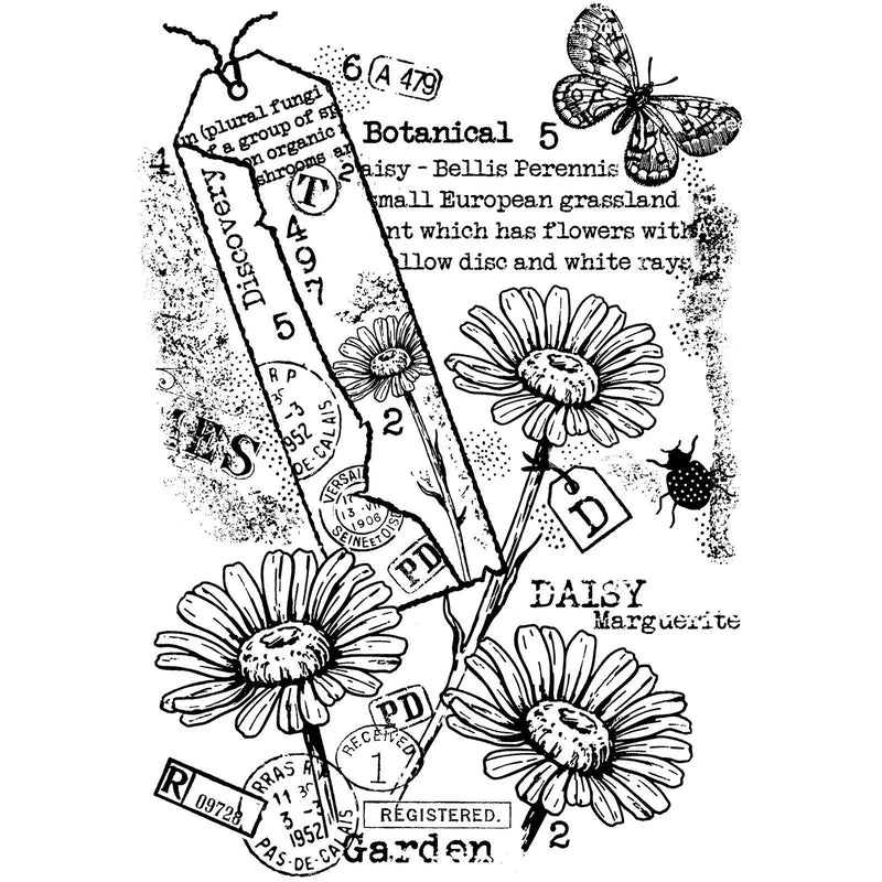 Woodware - Clear Stamps - A6 - Garden Daisies