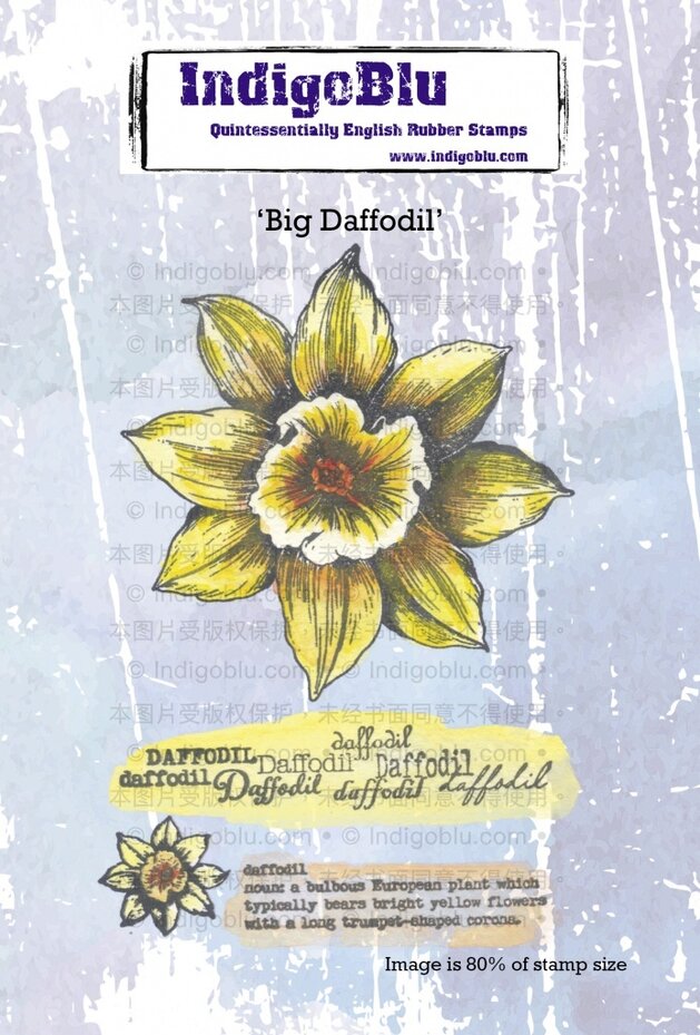 IndigoBlu - Cling Mounted Stamp - A6 - Big Daffodil