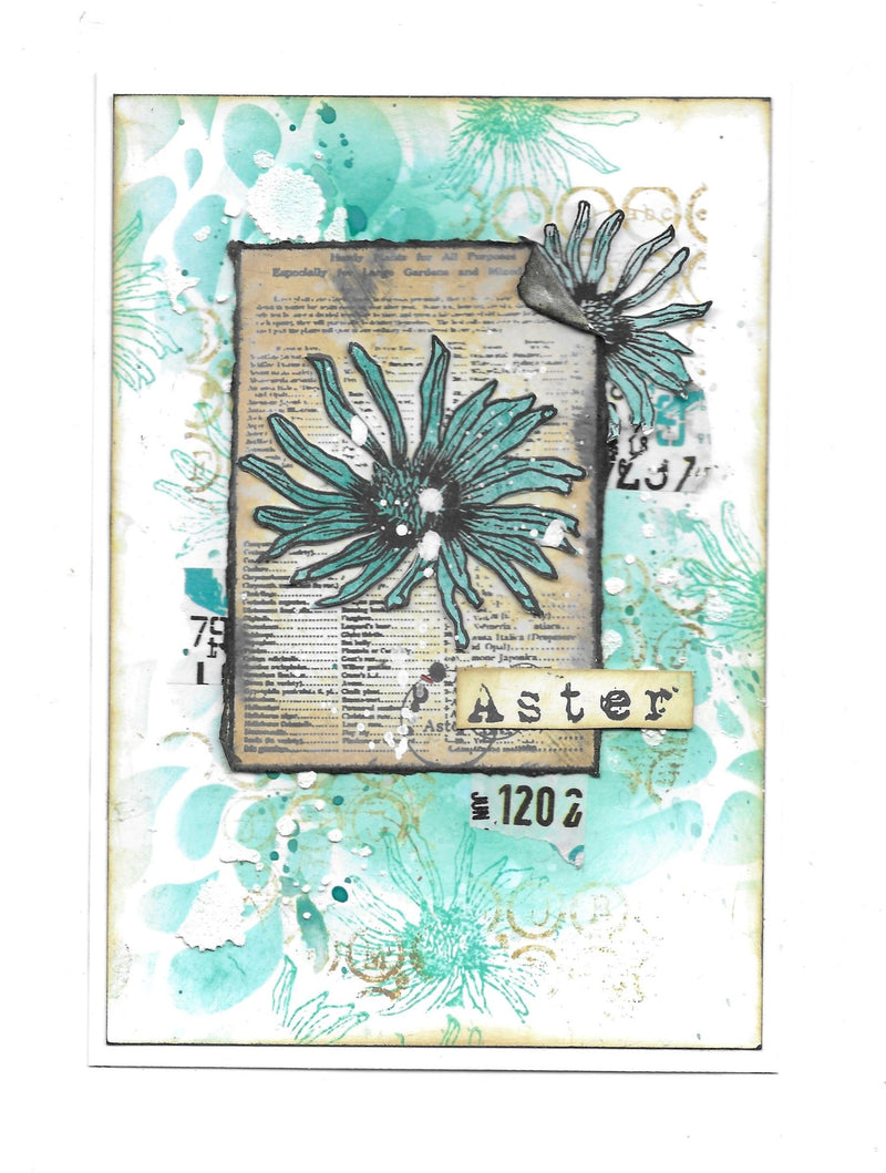 AALL & Create - A7 - Clear Stamps - 930 - Tracy Evans - Paper Leaves