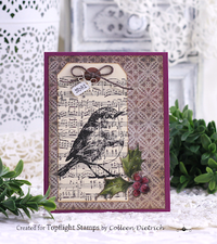 Visible Image - A6 - Clear Polymer Stamp Set - Christmas Robin