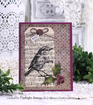 Visible Image - A6 - Clear Polymer Stamp Set - Christmas Robin