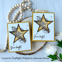 Visible Image - Shining Star - Clear Polymer Stamp Set