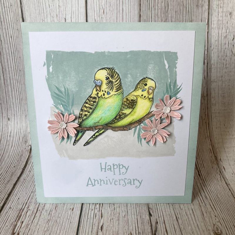 Hobby Art Stamps - Clear Polymer Stamp Set - A5 - Budgies - Parakeets