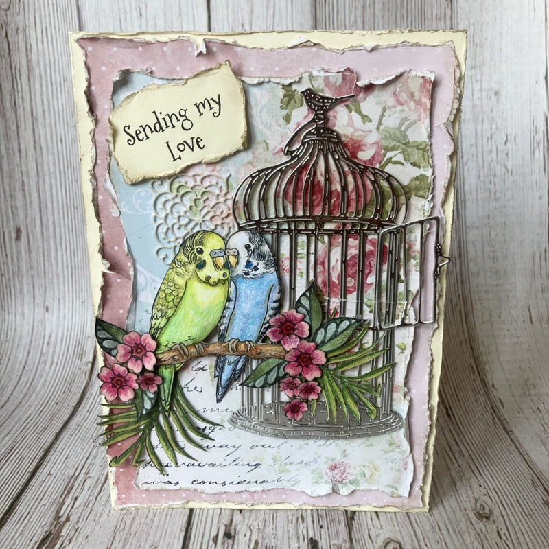 Hobby Art Stamps - Clear Polymer Stamp Set - A5 - Budgies - Parakeets