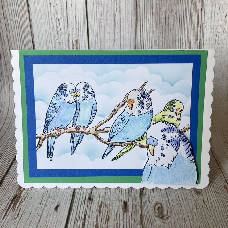Hobby Art Stamps - Clear Polymer Stamp Set - A5 - Budgies - Parakeets