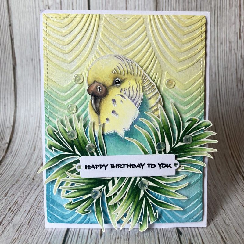 Hobby Art Stamps - Clear Polymer Stamp Set - A5 - Budgies - Parakeets