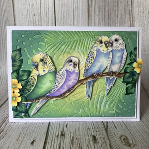 Hobby Art Stamps - Clear Polymer Stamp Set - A5 - Budgies - Parakeets