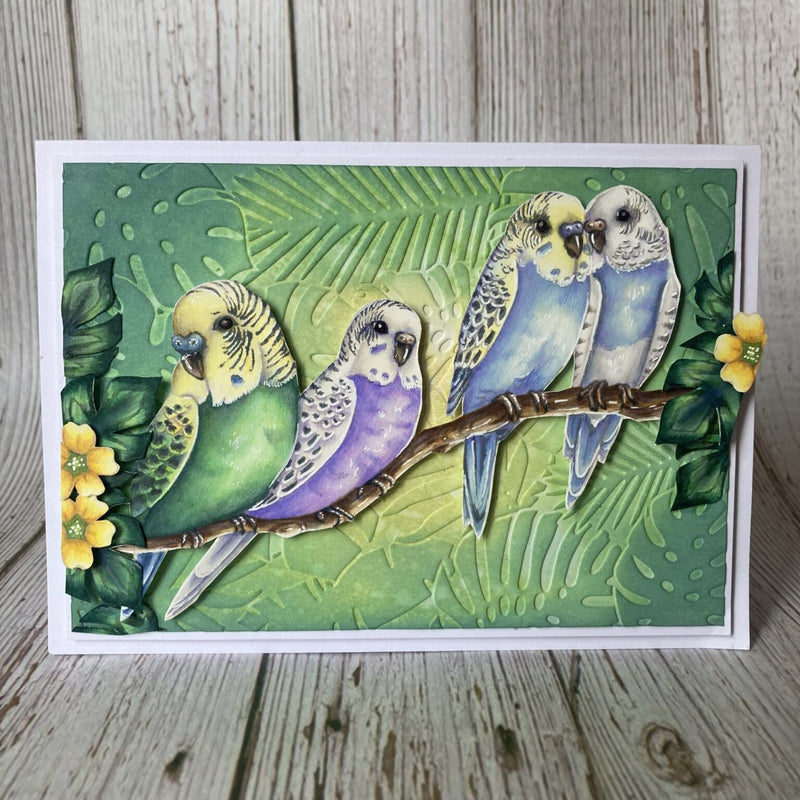 Hobby Art Stamps - Clear Polymer Stamp Set - A5 - Budgies - Parakeets