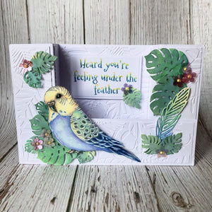 Hobby Art Stamps - Clear Polymer Stamp Set - A5 - Budgies - Parakeets