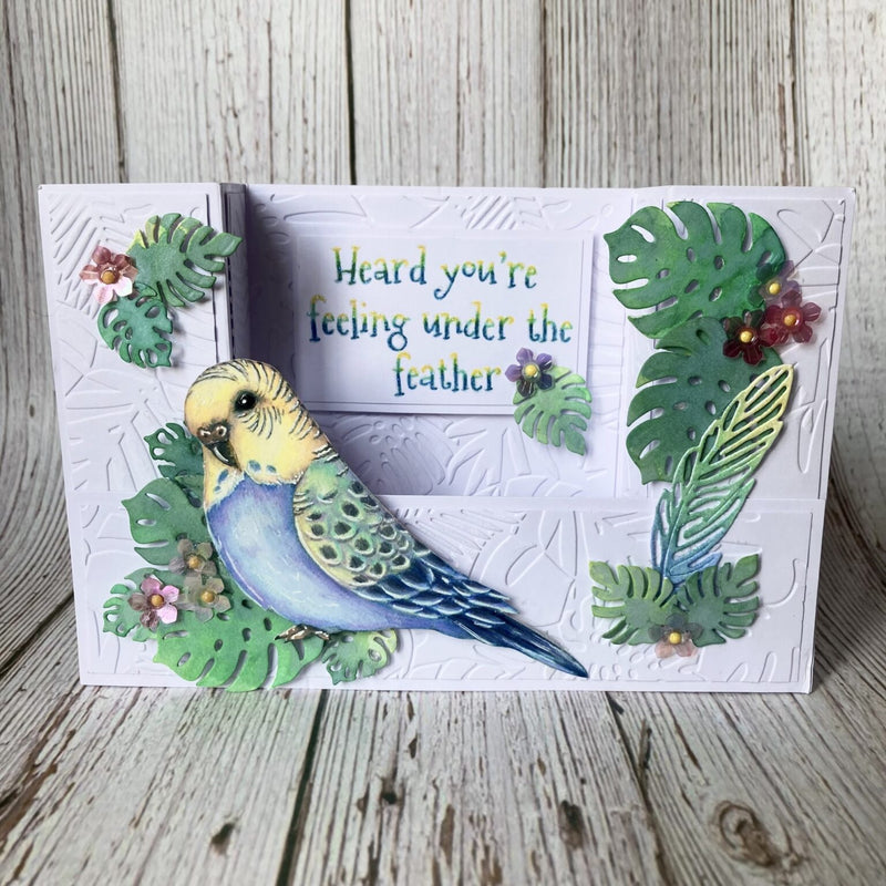 Hobby Art Stamps - Clear Polymer Stamp Set - A5 - Budgies - Parakeets