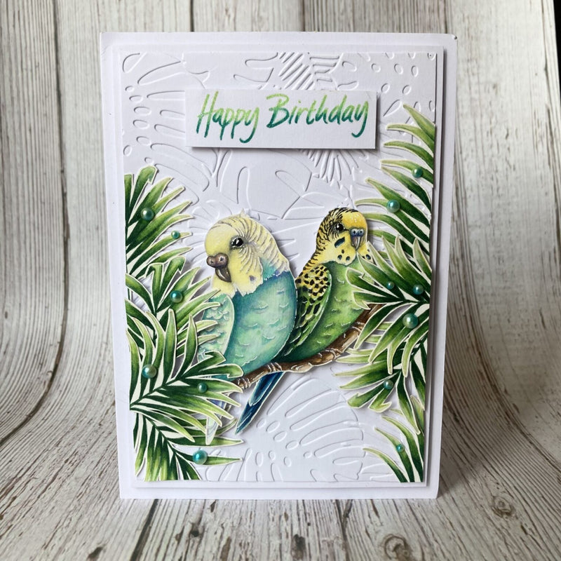 Hobby Art Stamps - Clear Polymer Stamp Set - A5 - Budgies - Parakeets