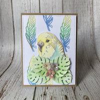 Hobby Art Stamps - Clear Polymer Stamp Set - A5 - Budgies - Parakeets