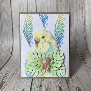 Hobby Art Stamps - Clear Polymer Stamp Set - A5 - Budgies - Parakeets