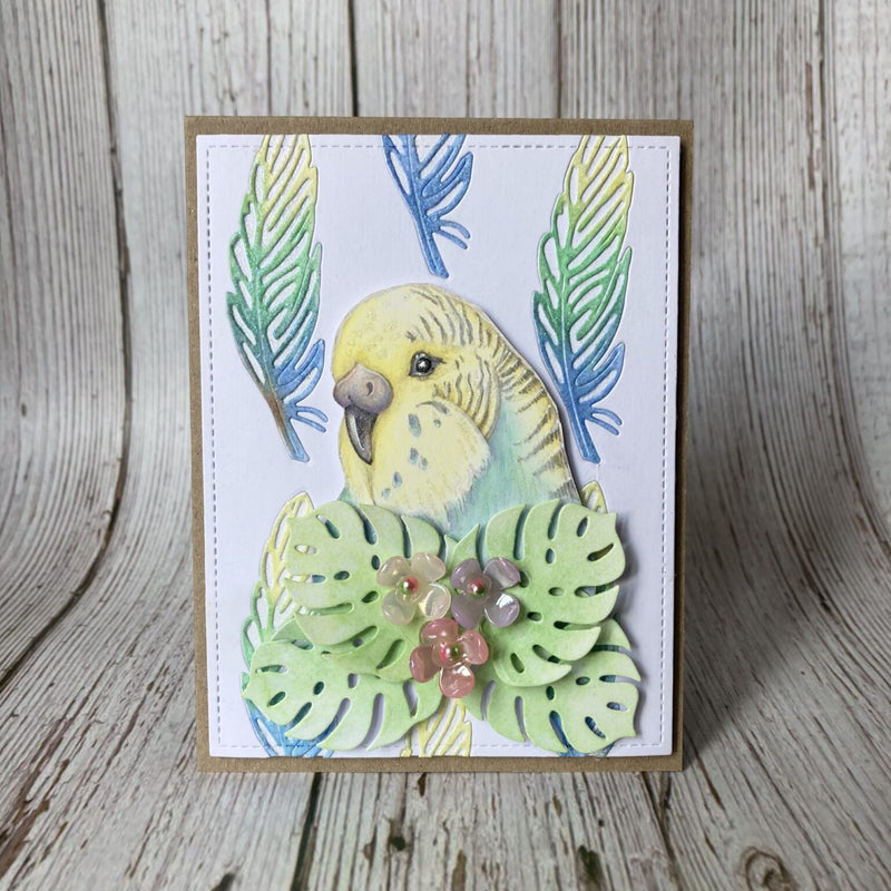 Hobby Art Stamps - Clear Polymer Stamp Set - A5 - Budgies - Parakeets