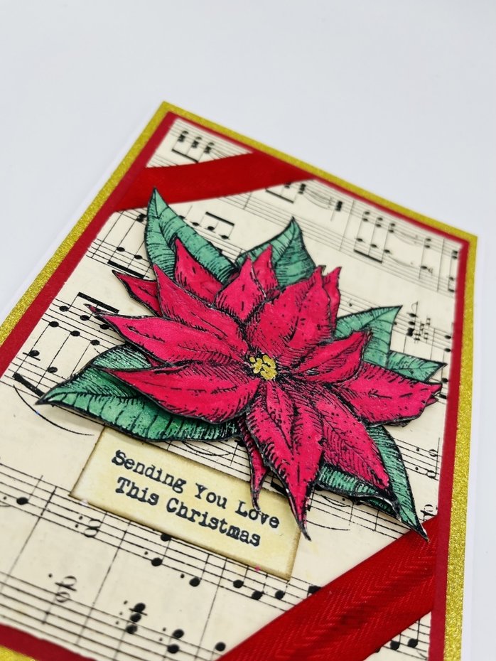IndigoBlu - Cling Mounted Stamp - A6 - Poinsettia Collage