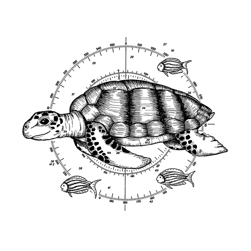 Crafty Individuals - Unmounted Rubber Stamp - 550 - Sea Turtle and Little Fishes