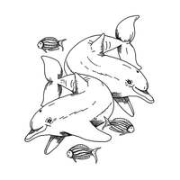 Crafty Individuals - Unmounted Rubber Stamp - 551 - Dolphins and Little Fishes