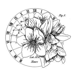 Crafty Individuals - Unmounted Rubber Stamp - 586 - The Circle of Latitudes