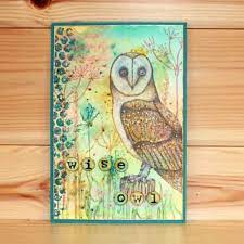 Hobby Art Stamps - Clear Polymer Stamp Set - Oliver Owl