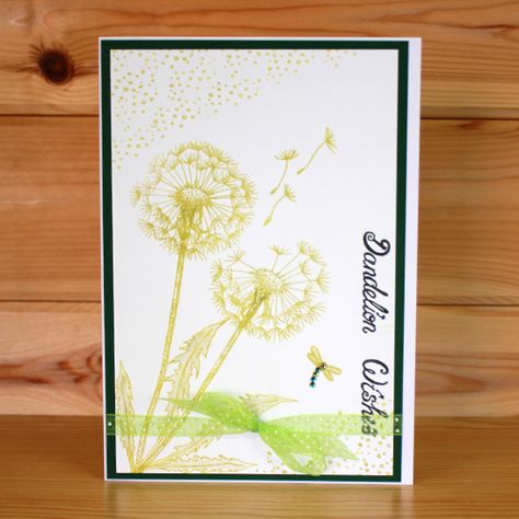 Hobby Art Stamps - Clear Polymer Stamp Set - A5 - Dandelion Wishes