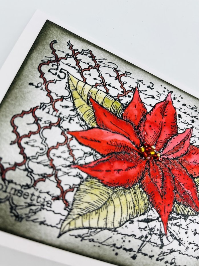 IndigoBlu - Cling Mounted Stamp - A6 - Poinsettia Collage