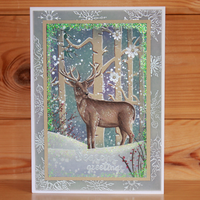 Hobby Art Stamps - Clear Polymer Stamp Set - A5 - Winter Woodland