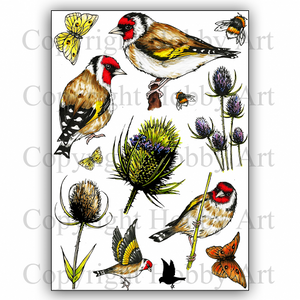 Hobby Art Stamps - Clear Polymer Stamp Set - A5 - Goldfinch & Teasels