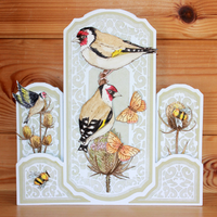 Hobby Art Stamps - Clear Polymer Stamp Set - A5 - Goldfinch & Teasels