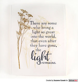 Darkroom Door - Quote - Red Rubber Cling Stamp - Light Remains