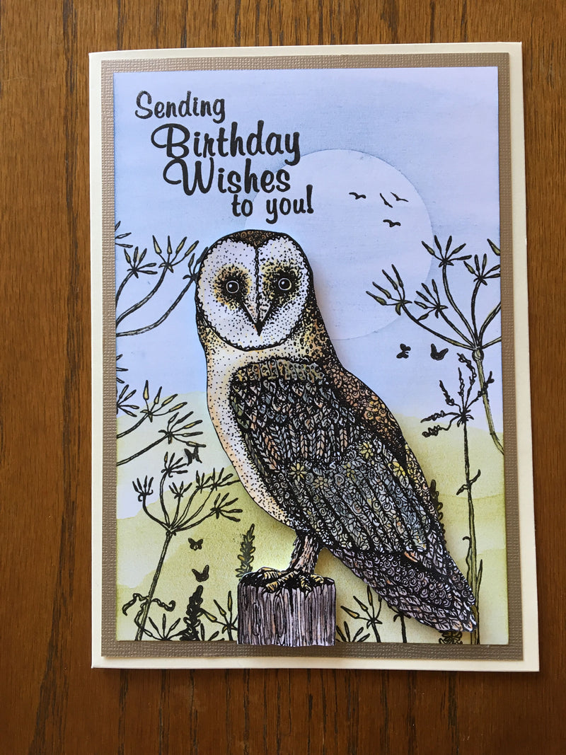 Hobby Art Stamps - Clear Polymer Stamp Set - Oliver Owl