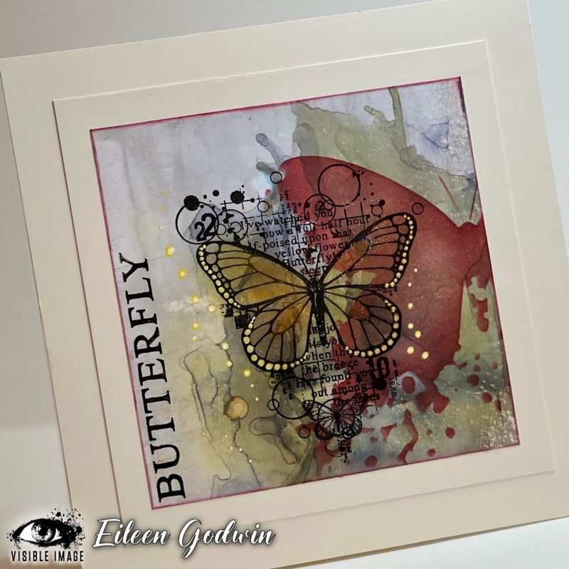 Visible Image - Antisocial Butterfly - Clear Polymer Stamp Set