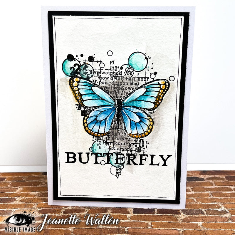 Visible Image - Antisocial Butterfly - Clear Polymer Stamp Set