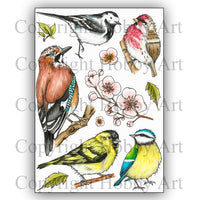 Hobby Art Stamps - Clear Polymer Stamp Set - A5 - Birds & Blooms