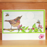 Hobby Art Stamps - Clear Polymer Stamp Set - A5 - Birds, Bugs, and Blossoms