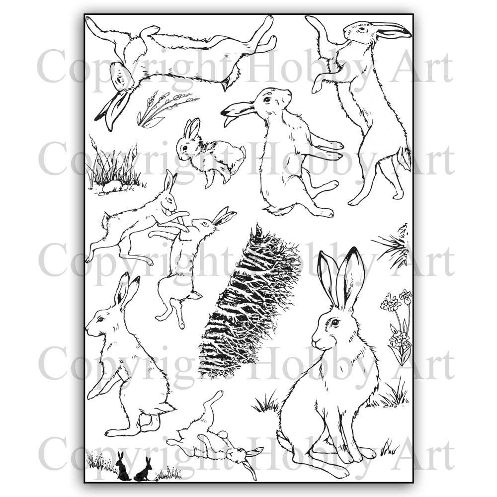 Hobby Art Stamps - Clear Polymer Stamp Set - A5 - Boxing Hares